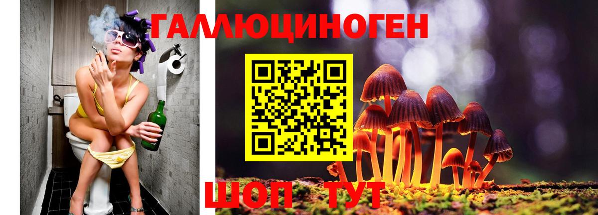Псилоцибиновые грибы GOLDEN TEACHER  Вход с VPN  Уварово  Псилоцибиновые грибы Psilocybine cubensis 